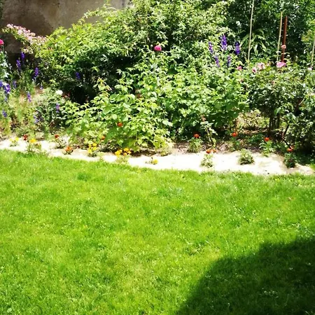 Pres D'un Chateau Avec Jardin, Terrasse, Parking Et Wifi, A 14 Km De Vichy - Fr-1-489-1 Holiday home