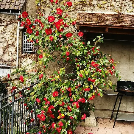 Pres D'un Chateau Avec Jardin, Terrasse, Parking Et Wifi, A 14 Km De Vichy - Fr-1-489-1 Tatil Evi