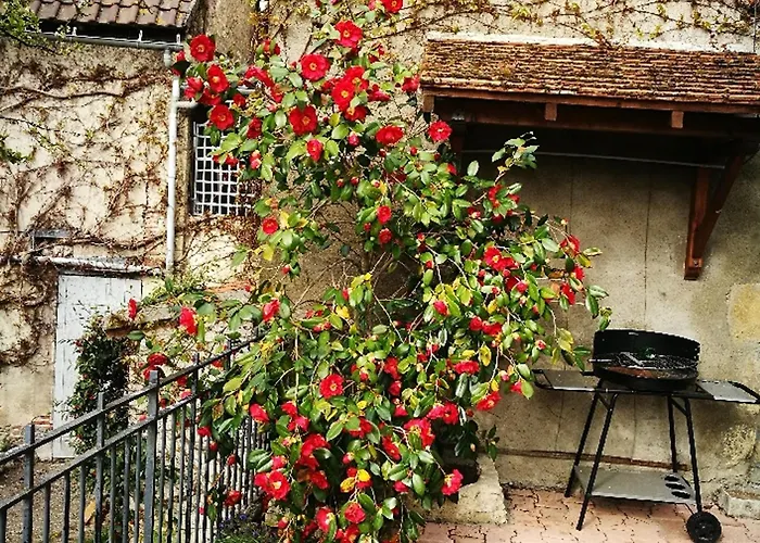 Pres D'un Chateau Avec Jardin, Terrasse, Parking Et Wifi, A 14 Km De Vichy - Fr-1-489-1 Дом отдыха