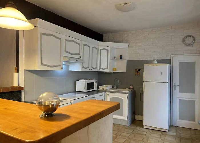 Pres D'un Chateau Avec Jardin, Terrasse, Parking Et Wifi, A 14 Km De Vichy - Fr-1-489-1